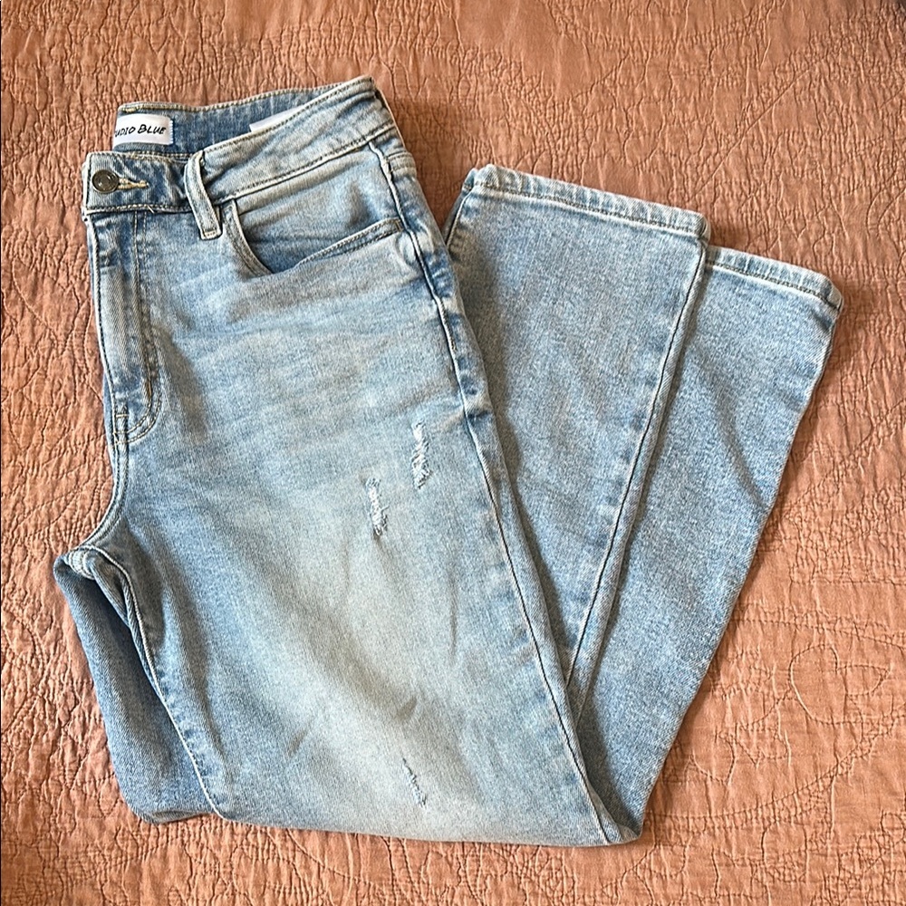 Studio Blue Ally High Rise Straight Crop Jean